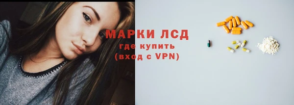 apvp Инта