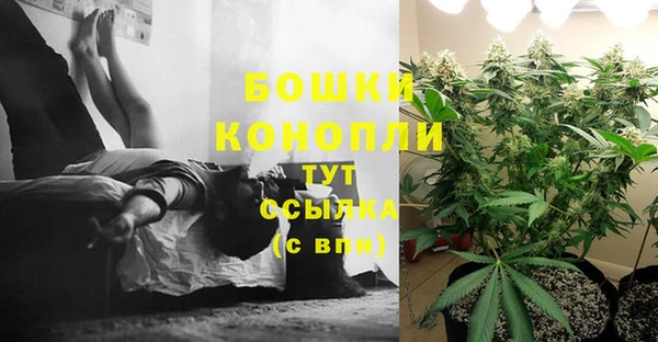 mdpv Инсар