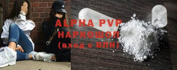 apvp Инта
