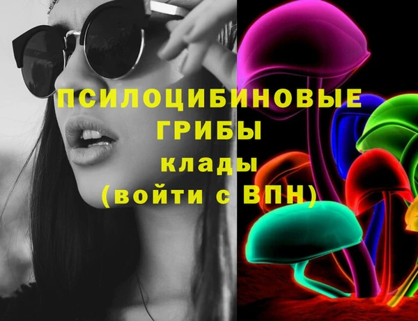 apvp Инта