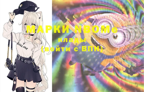 apvp Инта