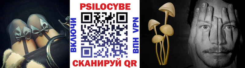 Купить  Зея  Псилоцибиновые грибы ЛСД 